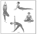 Hatha Yoga